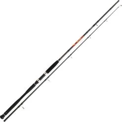 CANNE DAIWA MEGAFORCE BIG FISH