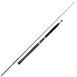 CANNE SILURE PENN LEGION CAT SILVER INLINER