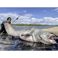 CANNE SPINNING BLACK CAT PERFECT PASSION XH-S -Cannes silure Soldes Boutique canne spinning black cat perfect passion xh s z 2551 255107 4