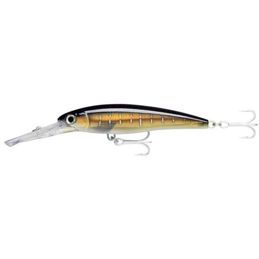 LEURRE FLOTTANT RAPALA X-RAP MAGNUM - 18CM -Cannes silure Soldes Boutique leurre flottant rapala x rap magnum 18cm z 1333 133362