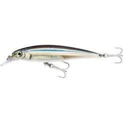 LEURRE SUSPENDING RAPALA SALTWATER X-RAP - 10CM